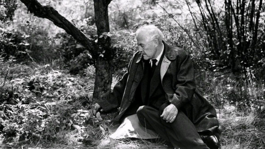 Dreams, memories, sorrows. Smultronstället