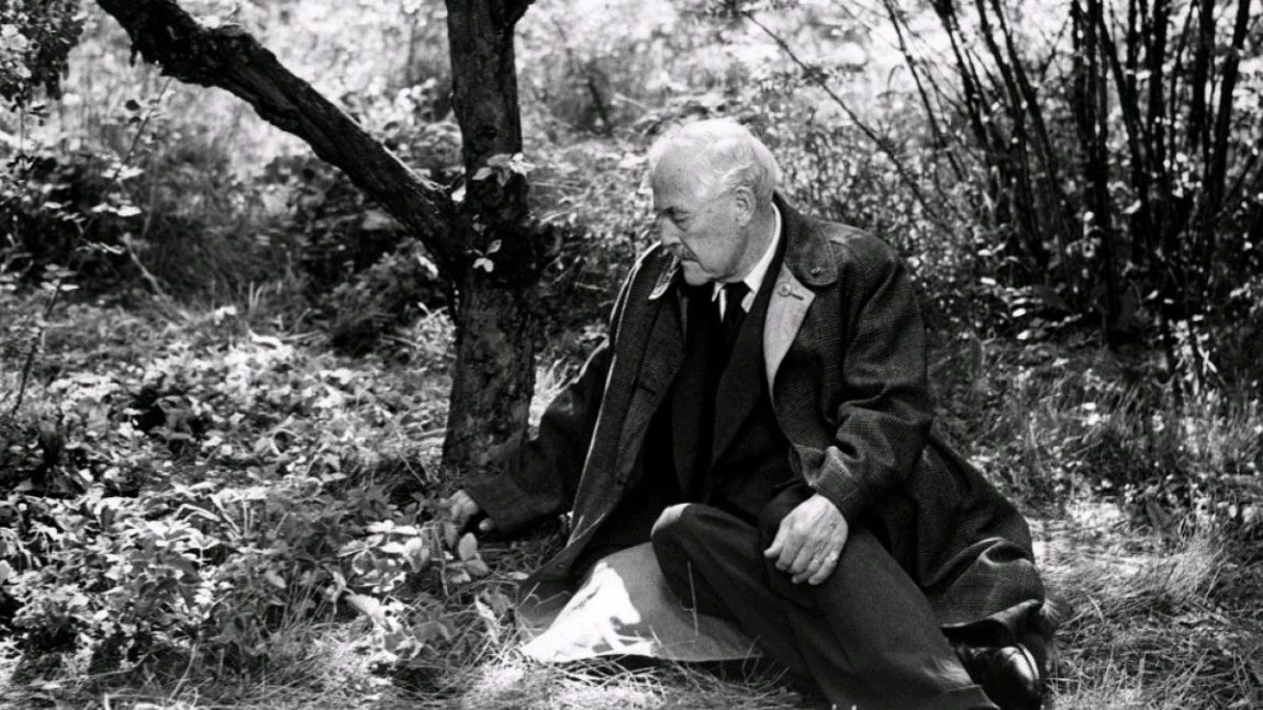 Dreams, memories, sorrows. Smultronstället