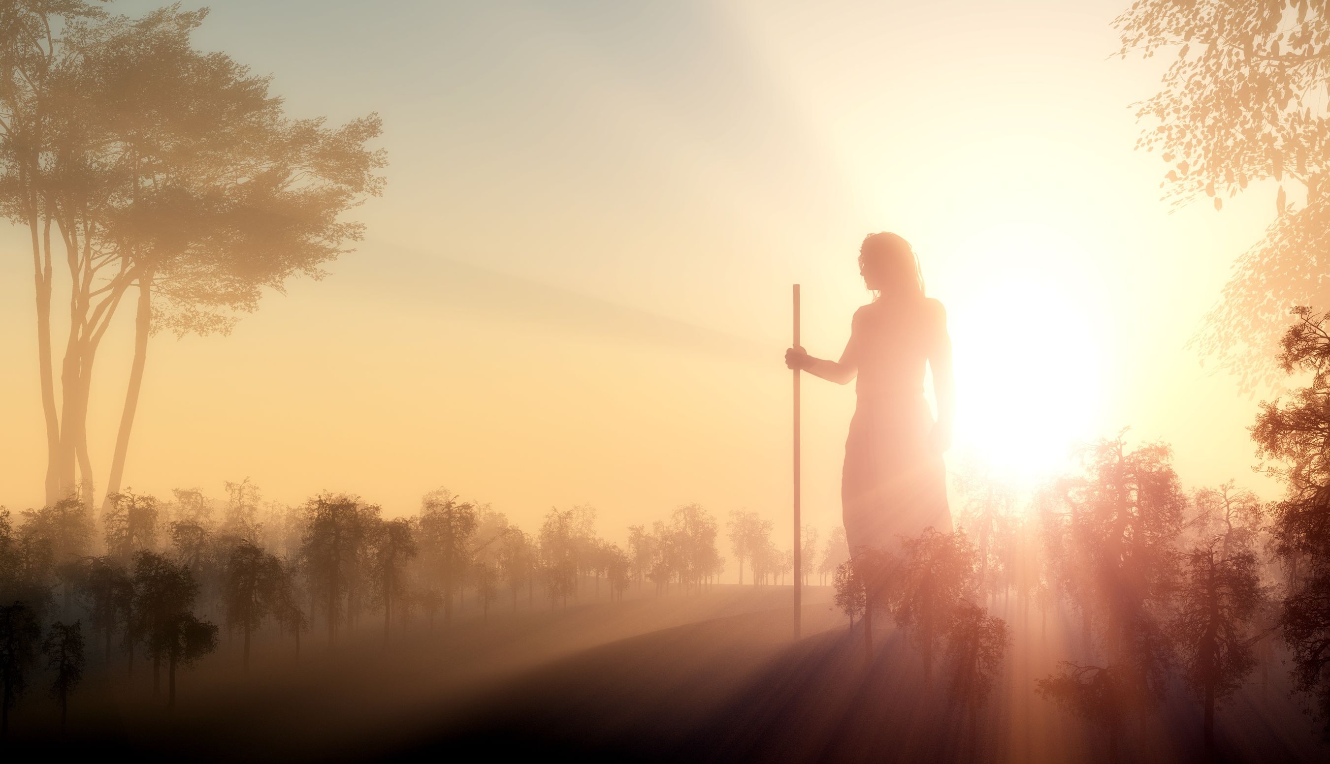 Jesus - The son of God?