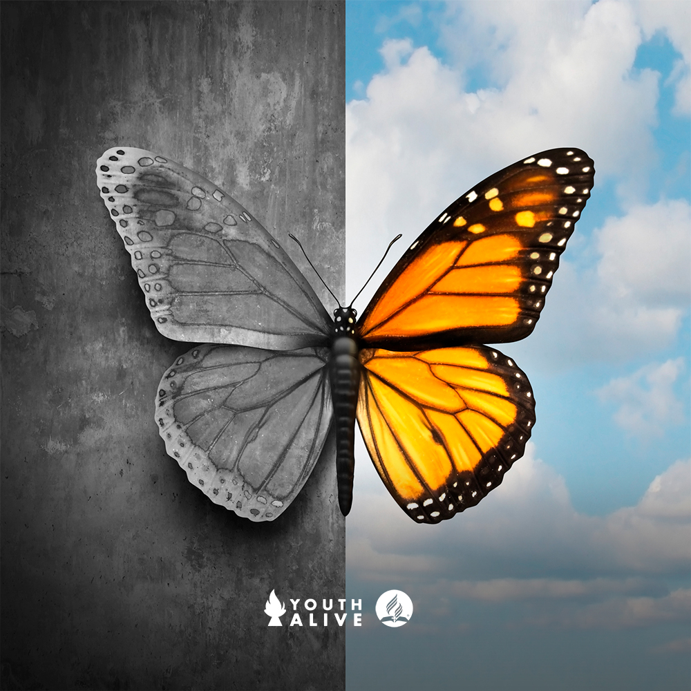 Mental Health Initiative